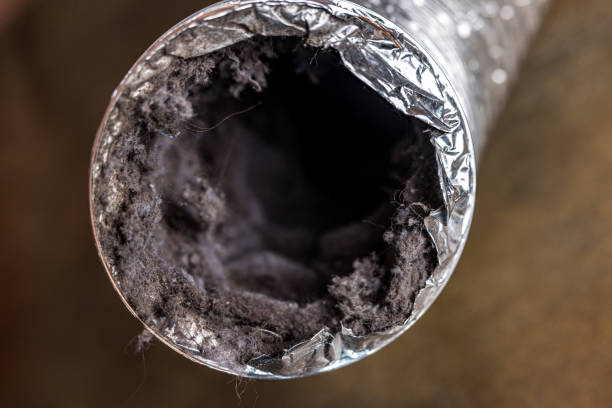 Best Air Duct Cleaning Company Near Me  in Clisle, AR