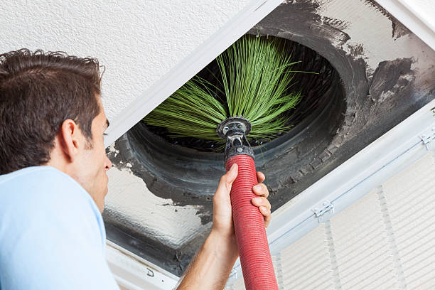 Best Affordable HVAC Duct Cleaning  in Clisle, AR